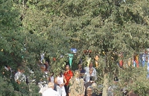 Κάτω Χρυσοβίτσα Δεξιά του ποταμού Ευήνου, σε υψόμετρο 400μ περίπου και σε απόσταση 5χιλ. ανατολικά του Θέρμου εκτίνεται ένα ημιορεινό, παραδοσιακό, αραιοκατοικημένο χωρίο η Κάτω Χρυσοβίτσα ή ″Βάλτσα″. Διασχίζεται από την επαρχιακή οδό Θέρμου – Πλατάνου Ναυπακτίας και αποτελείται από πολλούς οικισμούς. Όπως: Ελληνικό, Διάσελο, Κουτσομύλια, Άνω και Κάτω Δοσούλα.