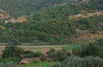Κάτω Χρυσοβίτσα Δεξιά του ποταμού Ευήνου, σε υψόμετρο 400μ περίπου και σε απόσταση 5χιλ. ανατολικά του Θέρμου εκτίνεται ένα ημιορεινό, παραδοσιακό, αραιοκατοικημένο χωρίο η Κάτω Χρυσοβίτσα ή ″Βάλτσα″. Διασχίζεται από την επαρχιακή οδό Θέρμου – Πλατάνου Ναυπακτίας και αποτελείται από πολλούς οικισμούς. Όπως: Ελληνικό, Διάσελο, Κουτσομύλια, Άνω και Κάτω Δοσούλα.